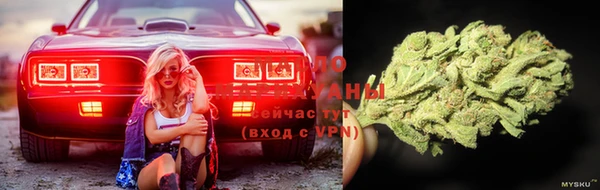 ALPHA PVP Белокуриха