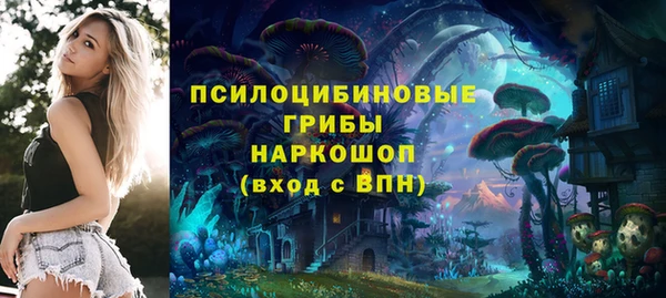 ALPHA PVP Белокуриха