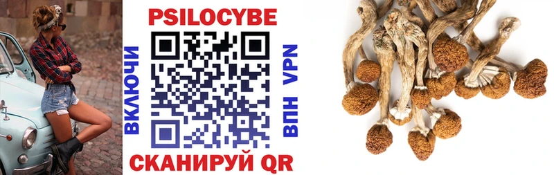 Псилоцибиновые грибы Psilocybine cubensis  Воткинск 